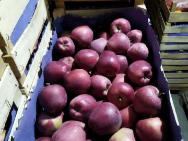 crveni delišes u savremenom pakovanju