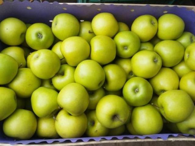 krupni plodovi zlatnog delišesa u savremenom pakovanju